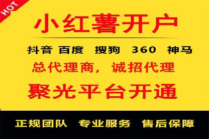 信息流平台案例研究：社交网络效应分析